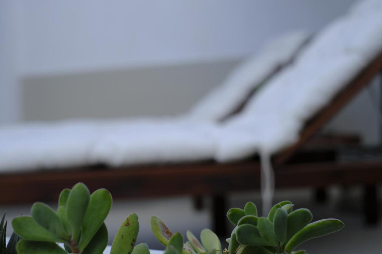 Villa San Lorenzo 瑞塔尼 外观 照片